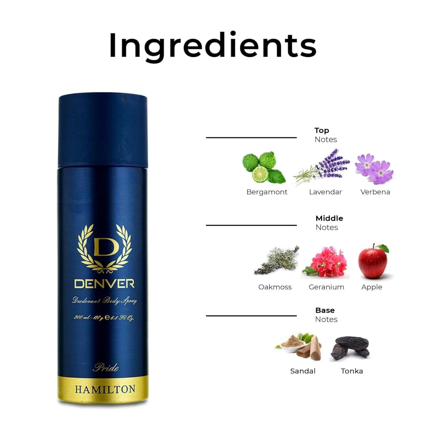 Deodorant Body Spray 165Ml Pride Hamilton